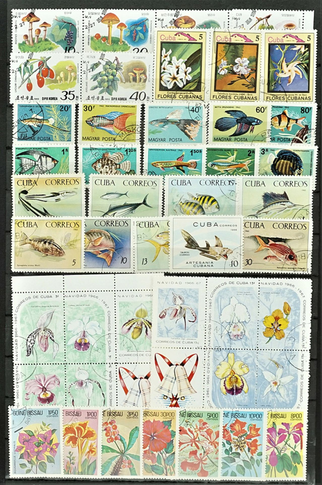 Ca. 1950 Briefmarken aus aller Welt - Bild 3 aus 4