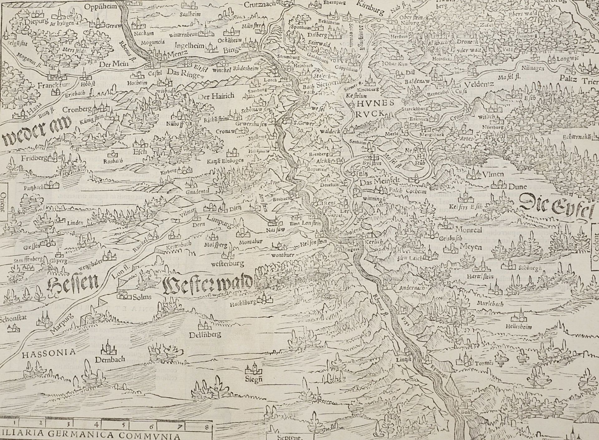 Sebastian Münster (1488-1552), Map of the course of the Rhine