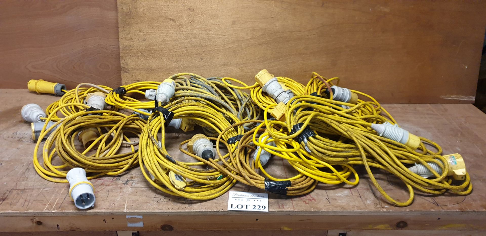 Quantity of 12, 110v Extension Leads.