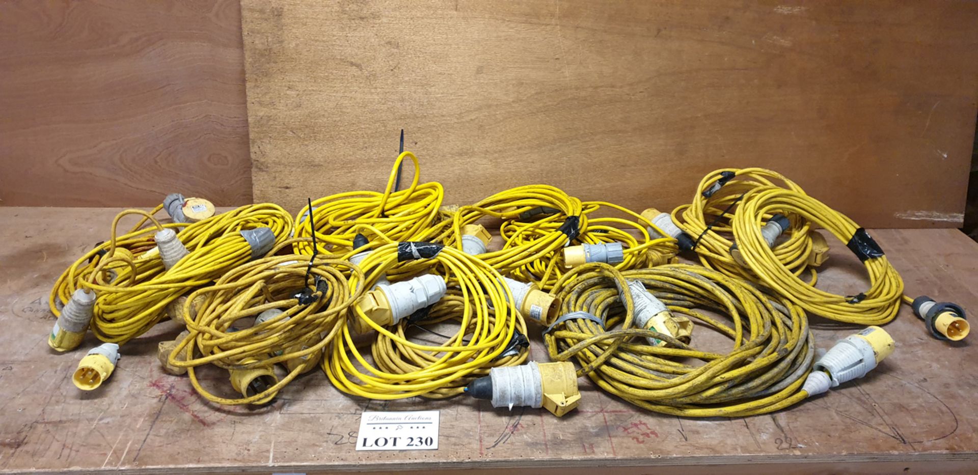 Quantity of 12, 110v Extension Leads.
