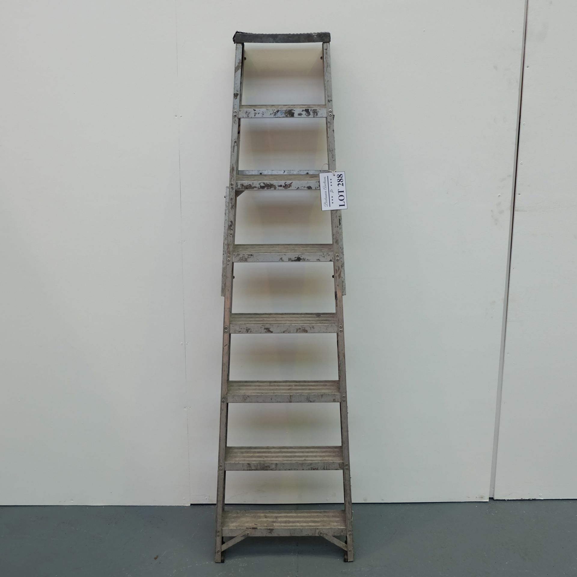 Lyte Step Ladder. Overall Height 66" Approx.