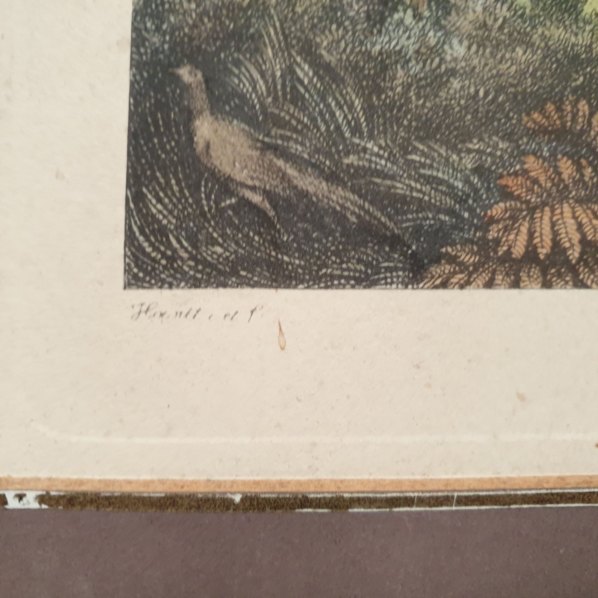 Pheasant Shooting' Framed Picture. Published May 12 1900. Approx Dimensions 17" x 15 1/2". - Image 3 of 5