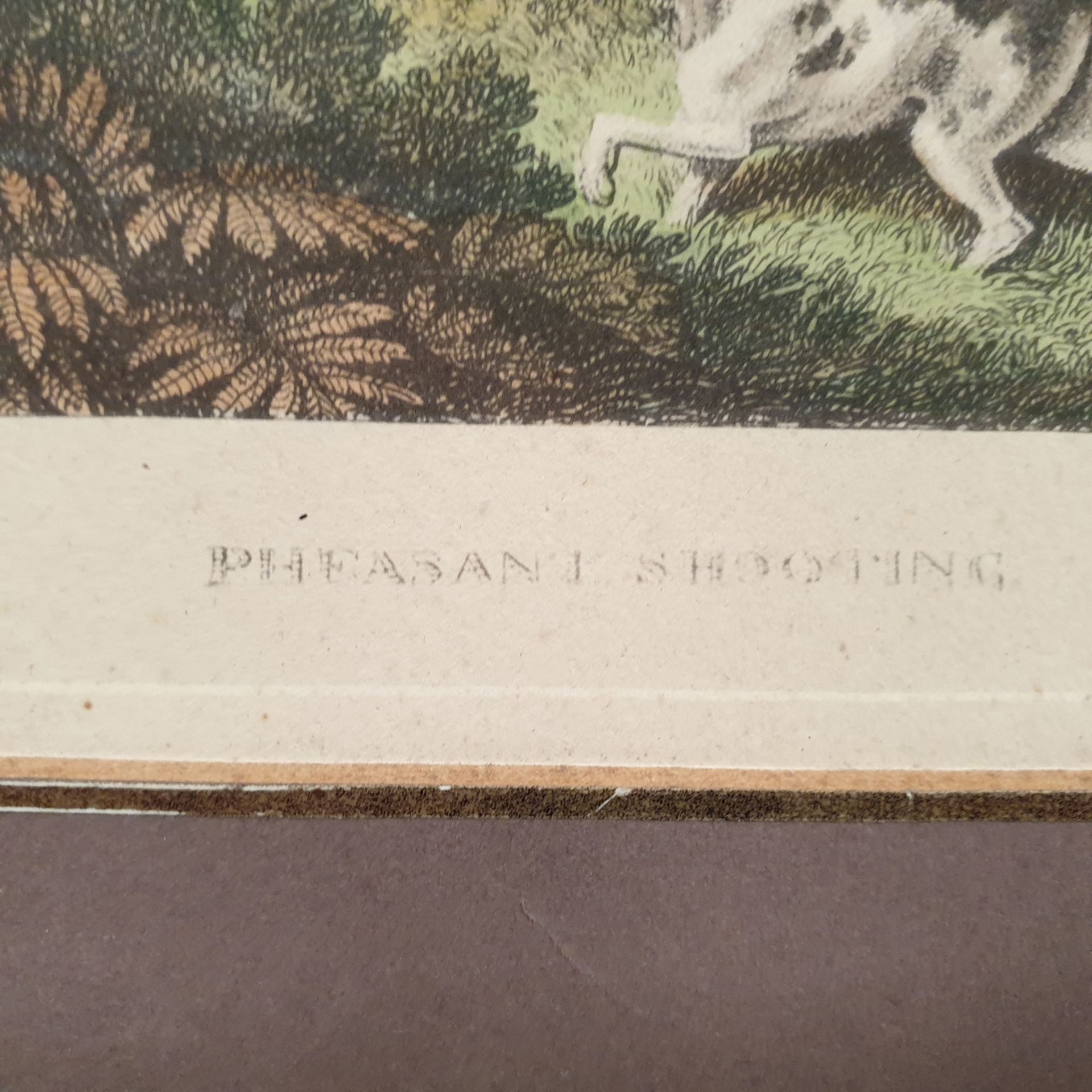 Pheasant Shooting' Framed Picture. Published May 12 1900. Approx Dimensions 17" x 15 1/2". - Image 4 of 5