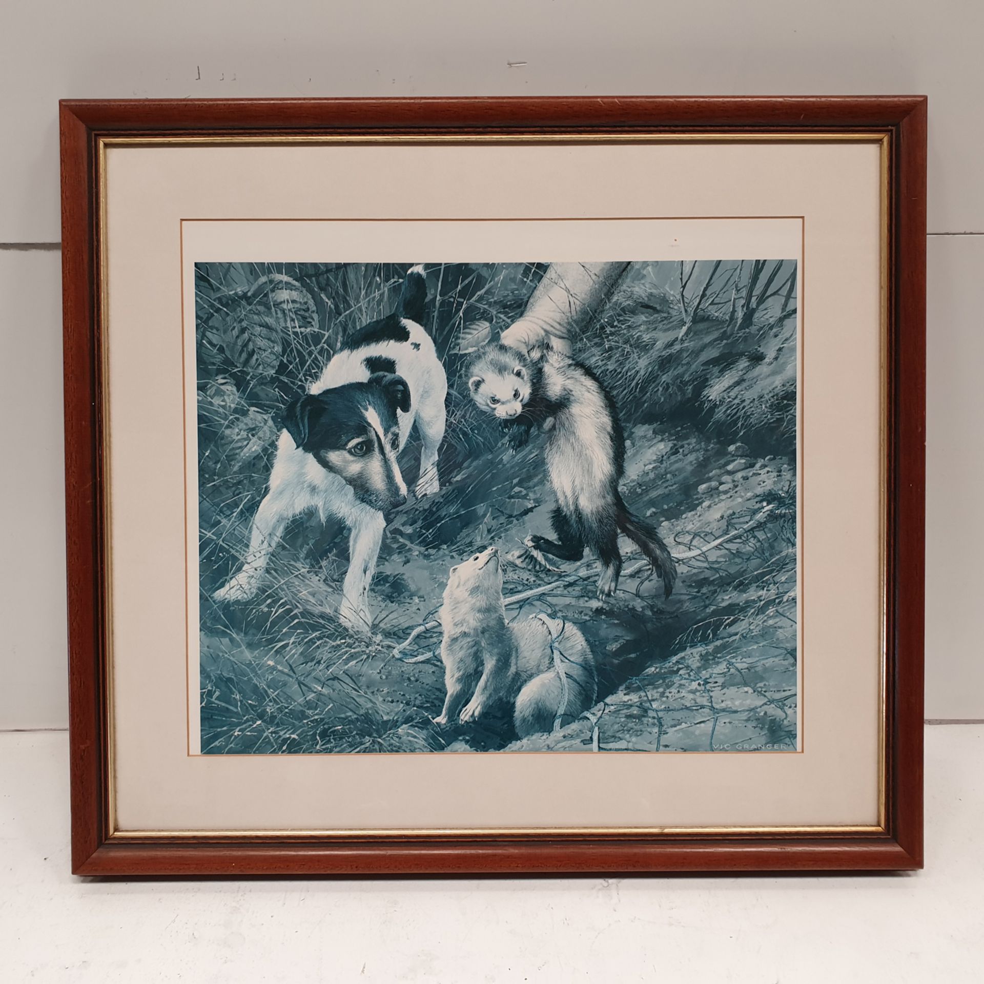 Dog & Ferrets Framed Picture by Vic Granger. Approx Dimensions 22 3/4" x 20 1/2".