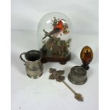 A cased taxidermy finch; together with a pewter capstan inkwell, a pewter tankard, an Icon style