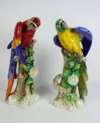 A pair of Sitzendorf porcelain Parrots, in the manner of Meissen factory, early 20th century, each