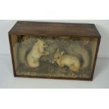 A taxidermy case of Squirrels holding their nuts, 29cm high, 48cm wide; together with a copper