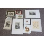 A collection of pictures and prints, including a colourful tapestry of ballooning, assorted sporting