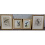 Eight assorted bird pictures and prints; including Andrew Osborne, Kestrels, watercolour, also two