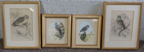 Eight assorted bird pictures and prints; including Andrew Osborne, Kestrels, watercolour, also two