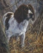 John Trickett, British, (1952 - ), Liver & White Springer Spaniel, oil on board, signed LL: John