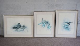 After J.F. Lansdowne, Birds of Hong Kong, including Heron, eight framed prints, including original