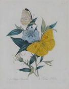 Andrew Osborne, Butterflies in a hedgerow, watercolour; together with eight assorted prints of