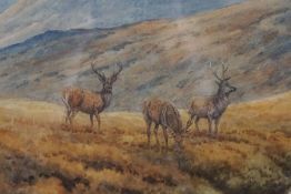 Brian Rawling, British (1931 - ),  ‘Blackmount’, Red Deer Stags in a Highland Glen,  watercolour,