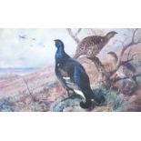 After Archibald Thorburn. A set of eight limited edition prints of game birds, including woodcock,