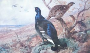 After Archibald Thorburn. A set of eight limited edition prints of game birds, including woodcock,