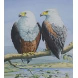 John Tennant, British, 20th century,  study of two bald eagles,  watercolour signed and dated