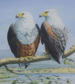 John Tennant, British, 20th century,  study of two bald eagles,  watercolour signed and dated