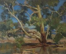 Harald Vike, Australian/ Norwegian (1906-1987), Landscape with Gum Tree, oil on linen laid on board,