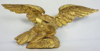 A Regency carved gilt wood eagle surmount, (probably formerly part of a large ornate mirror