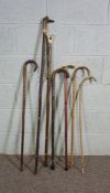 Seven assorted walking sticks and canes, including a thumb stick, brass topped cane and antler