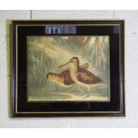 Three game bird coloured prints; Mallard, Woodcock, Red Grouse and Snipe, circa 1900, in verre