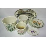 A collection of Portmeirion china, including eight assorted cannisters, a Salmon dish and