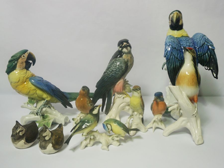 A group of porcelain figures of birds, including a pair of Macaw parrots, a peregrine falcon and a