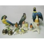 A group of porcelain figures of birds, including a pair of Macaw parrots, a peregrine falcon and a