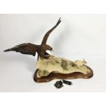 Border Fine Arts, A Golden Eagle taking a mountain hare, coloured resin figure, wing tips require