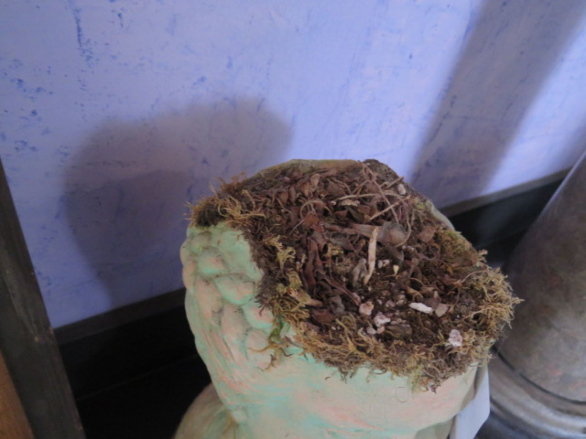 Head Bust Planter (SOLD AS-IS - NO WARRANTY) - Image 3 of 4