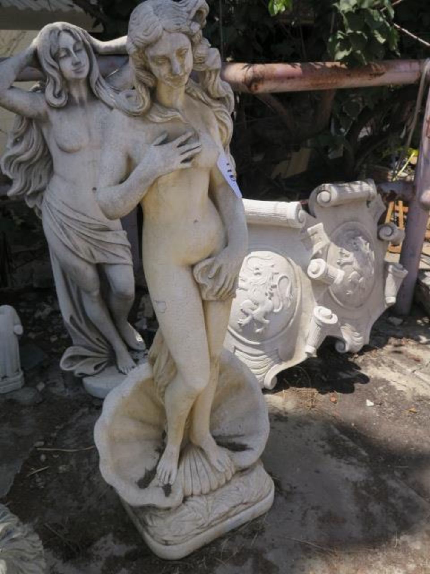 Nude Woman in Shell Statue (SOLD AS-IS - NO WARRANTY) - Image 3 of 5