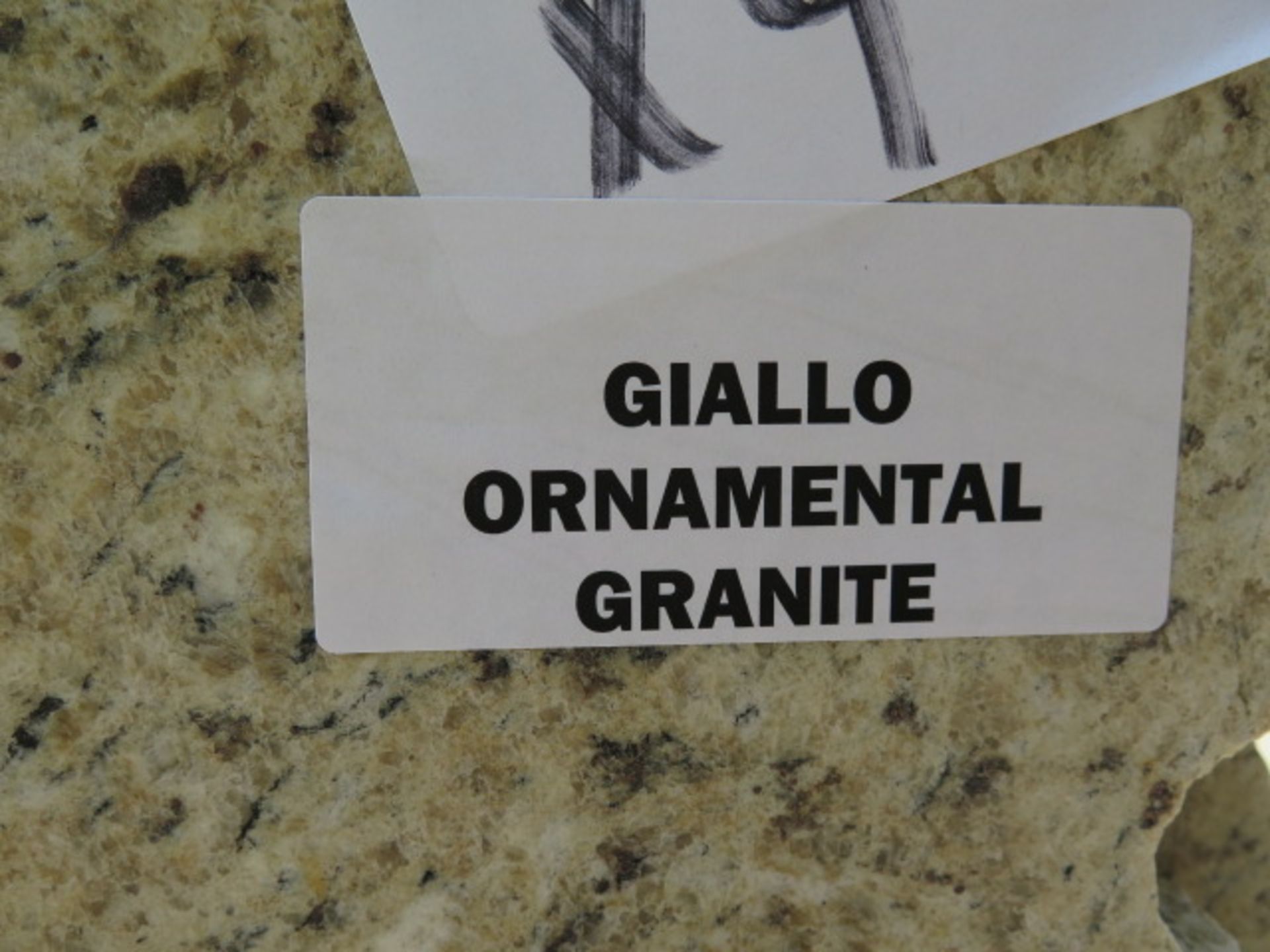 Gaillo Ornamental Granite 3cm (9 Slabs) (SOLD AS-IS - NO WARRANTY) - Image 8 of 8