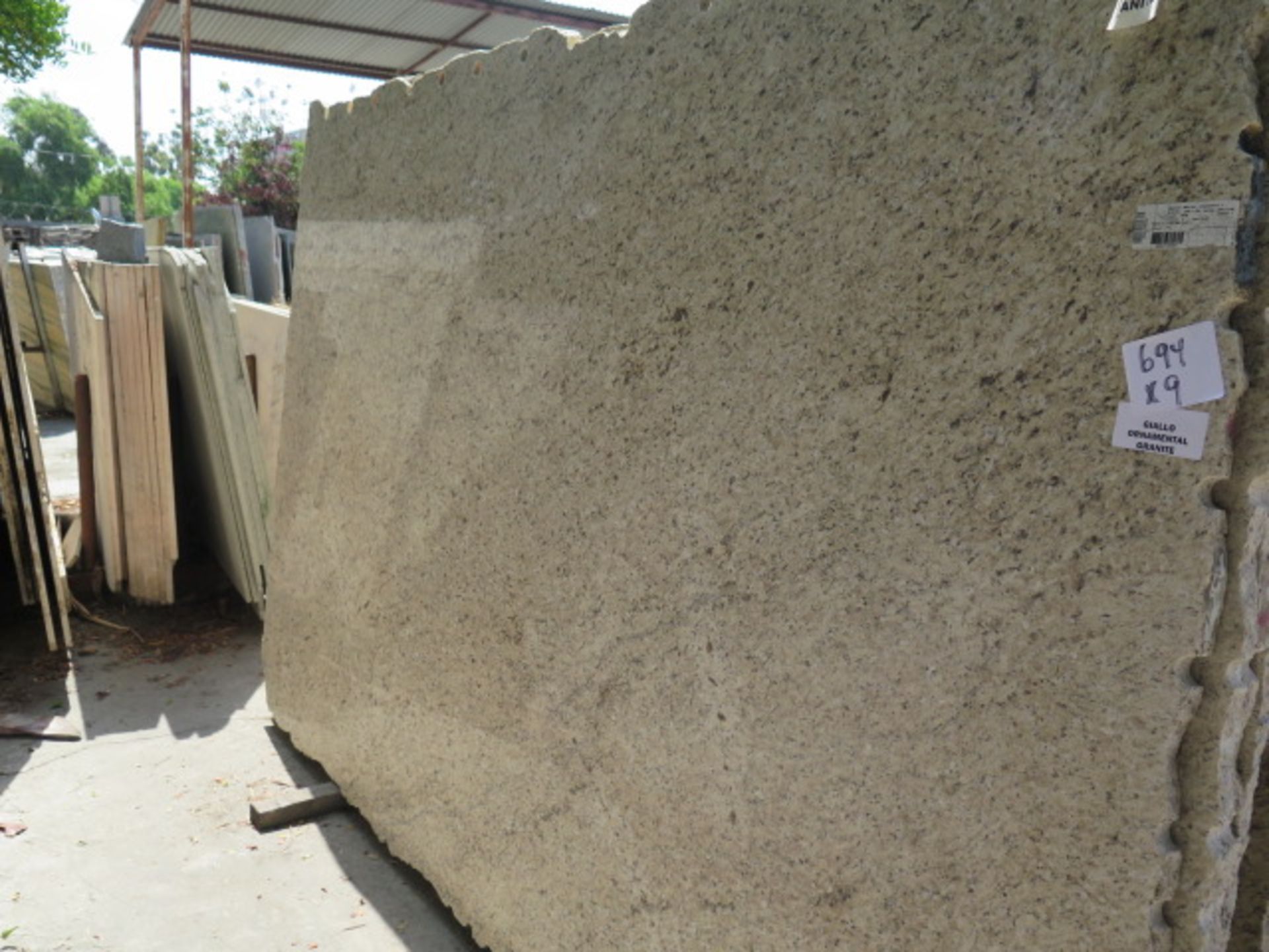 Gaillo Ornamental Granite 3cm (9 Slabs) (SOLD AS-IS - NO WARRANTY)