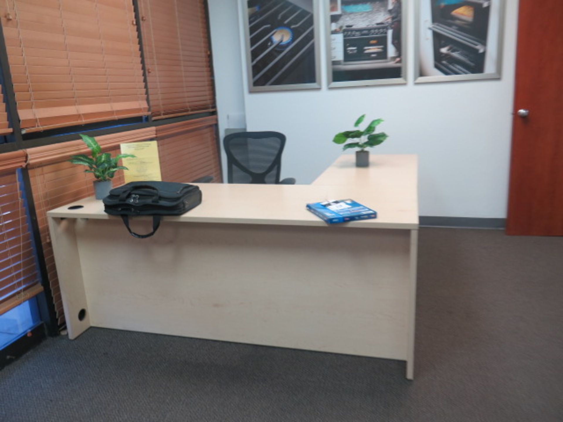 Reception Desk, Chairs and Plants (SOLD AS-IS - NO WARRANTY)