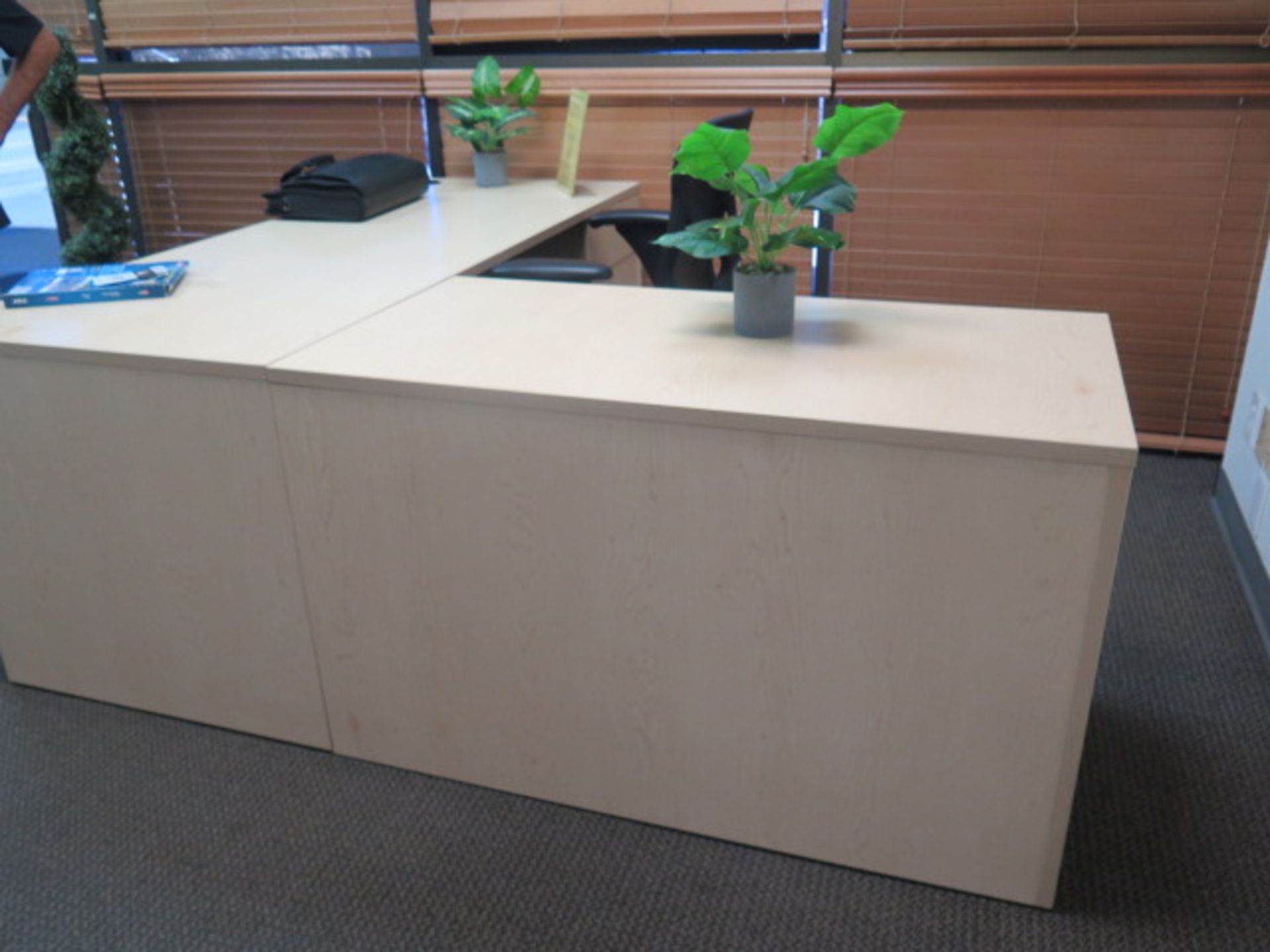 Reception Desk, Chairs and Plants (SOLD AS-IS - NO WARRANTY) - Image 2 of 5