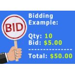 Bidding "Times The Money" At This Auction, Qty * Bid Price