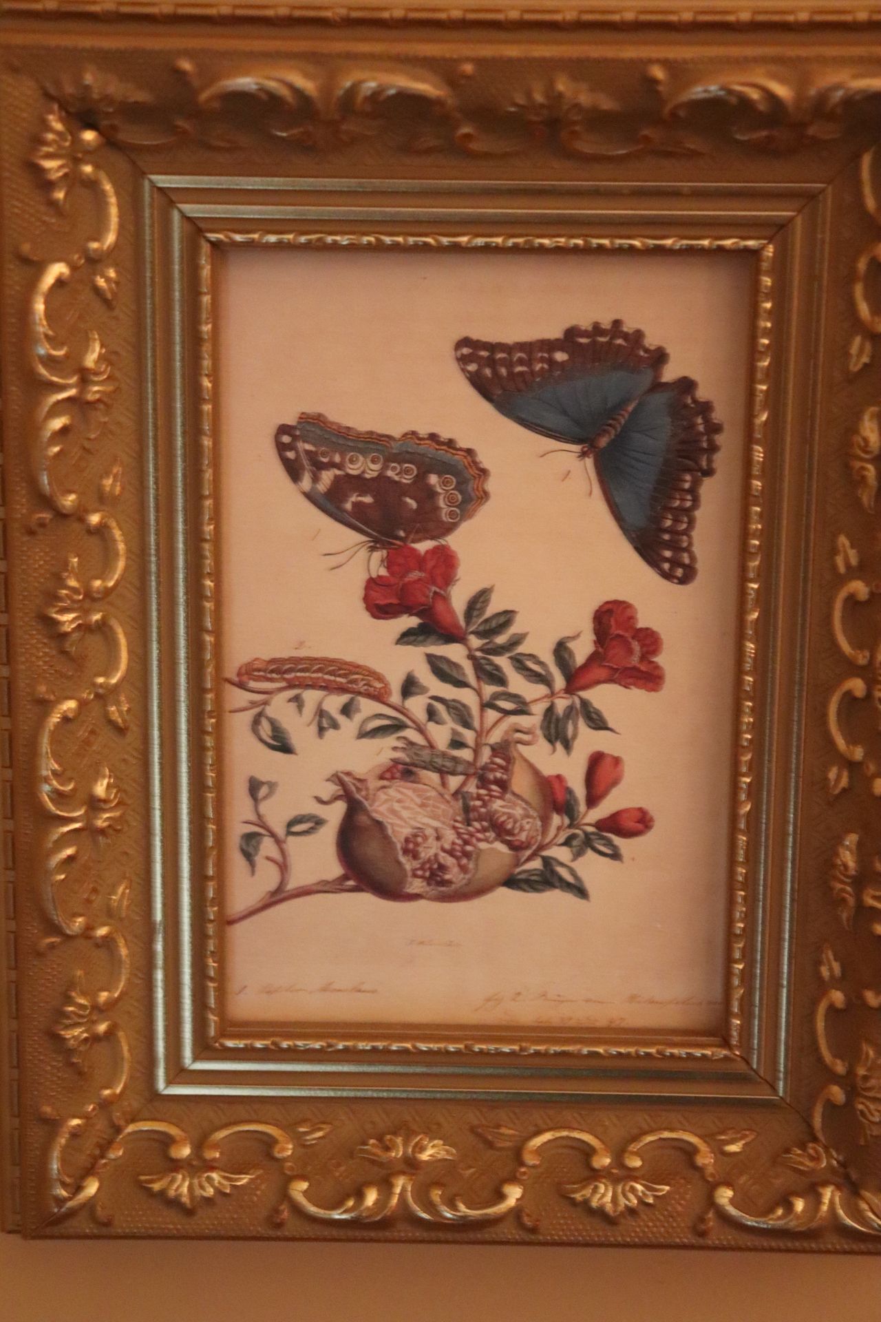 Two framed pictures of flora, signed P. Hughes Sculf - Image 3 of 3