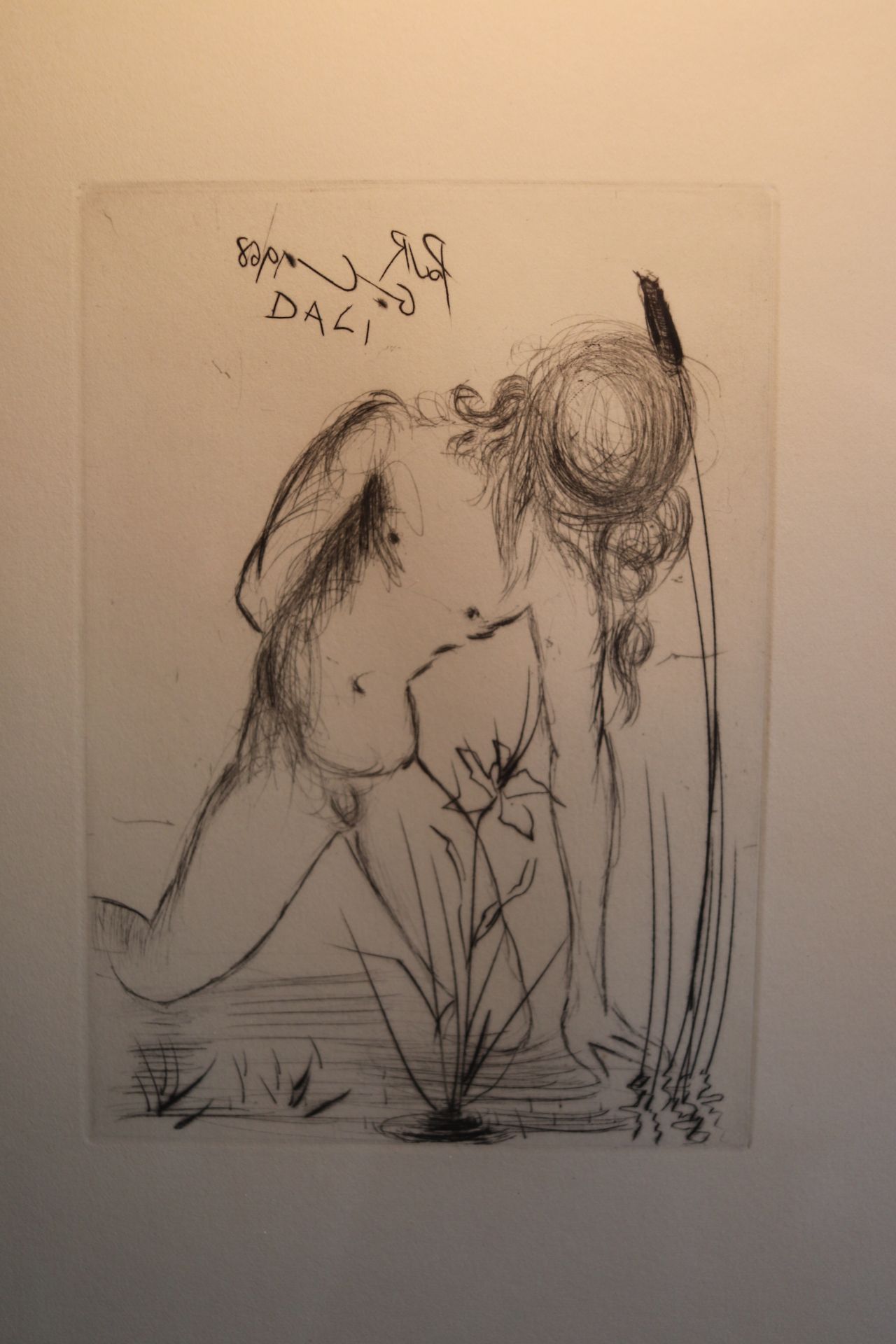 Original black and white etching, signed by Dali, "Narcissus", dated 1968, with Certificate of Authe - Image 3 of 7