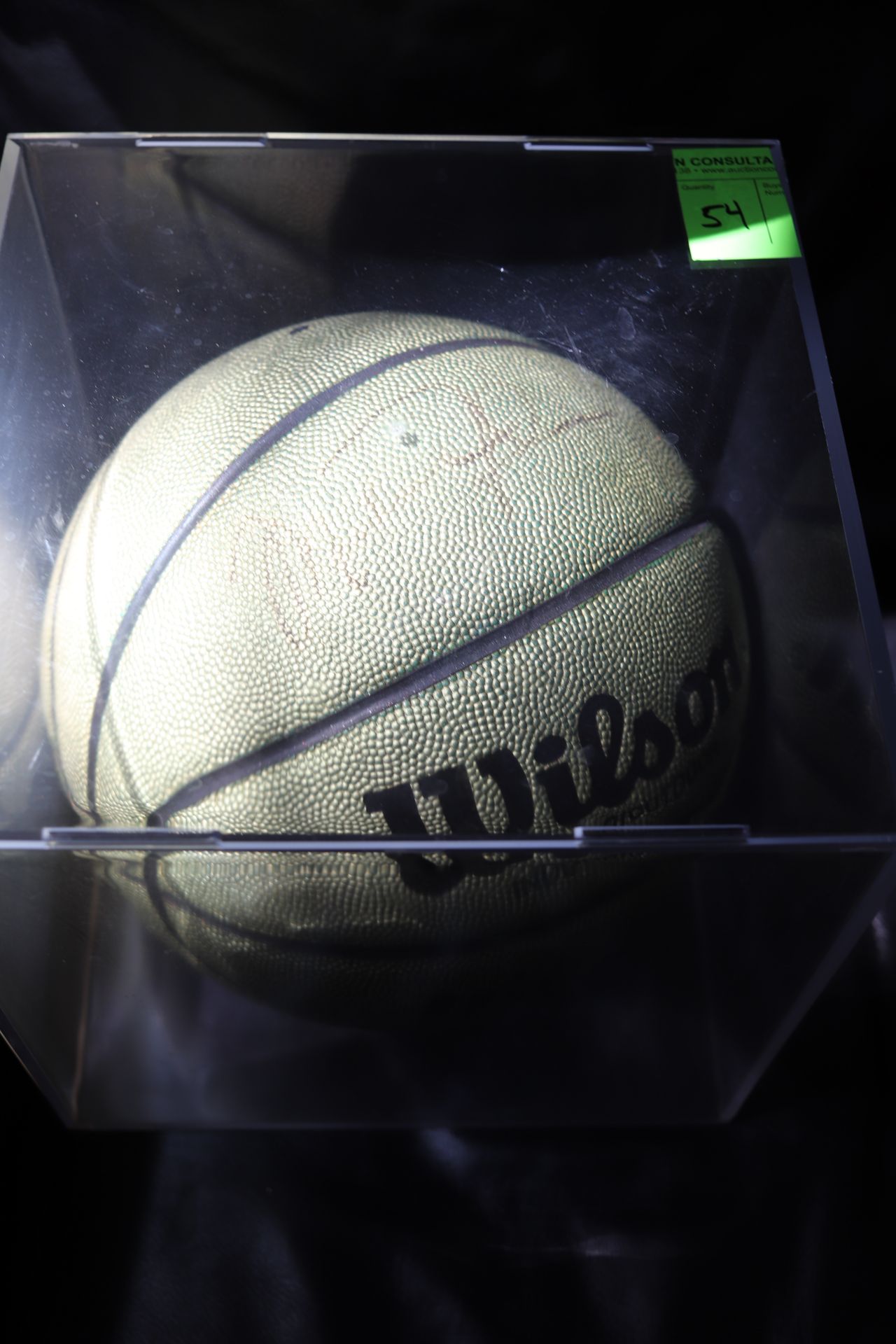 Wilson Professional Indoor/Outdoor basketball, Michael Jordan signature