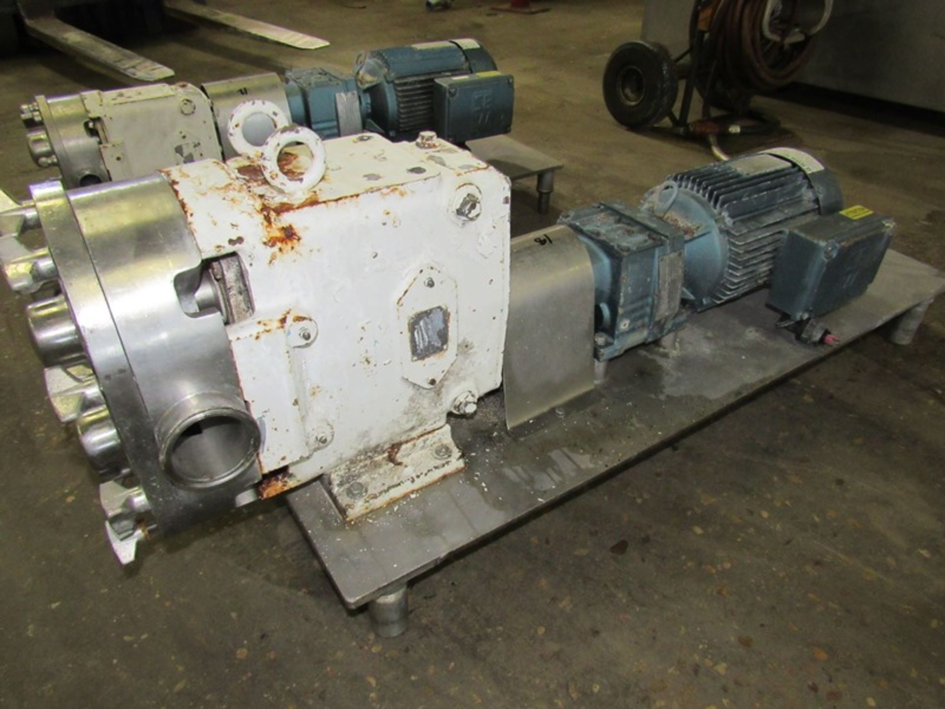 Waukesha Mdl. 60 Positive Displacement Pump on 3 h.p., 230/460 volt, 3 phase motor, Ser. #120184, 1" - Image 2 of 4