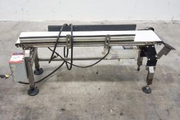 Transfer Conveyor with Bronco variable speed control