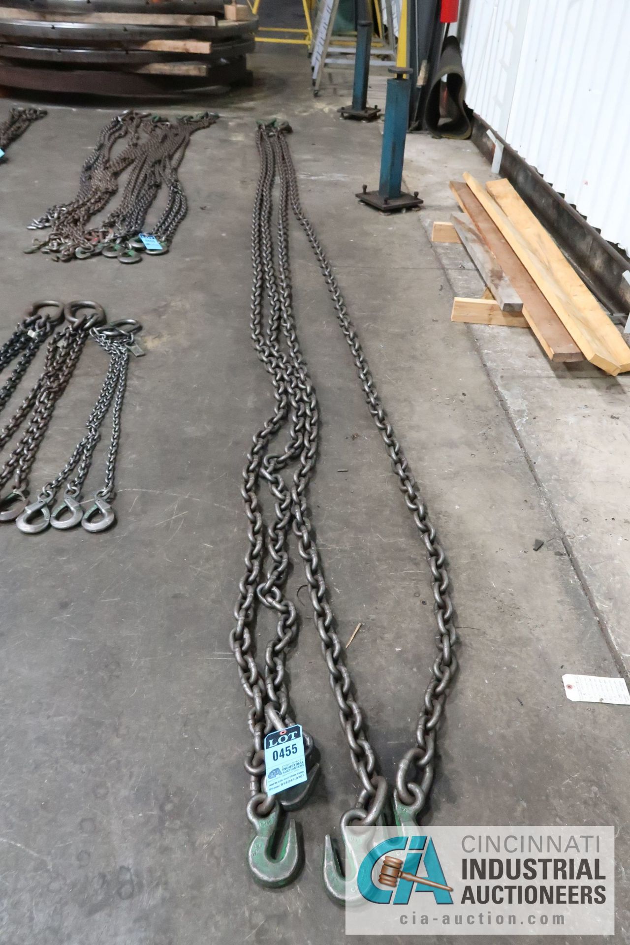 20 FT. 2-HOOK CRANE CHAINS