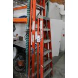 Loysville fiberglass ladders 6 ft, 10 ft