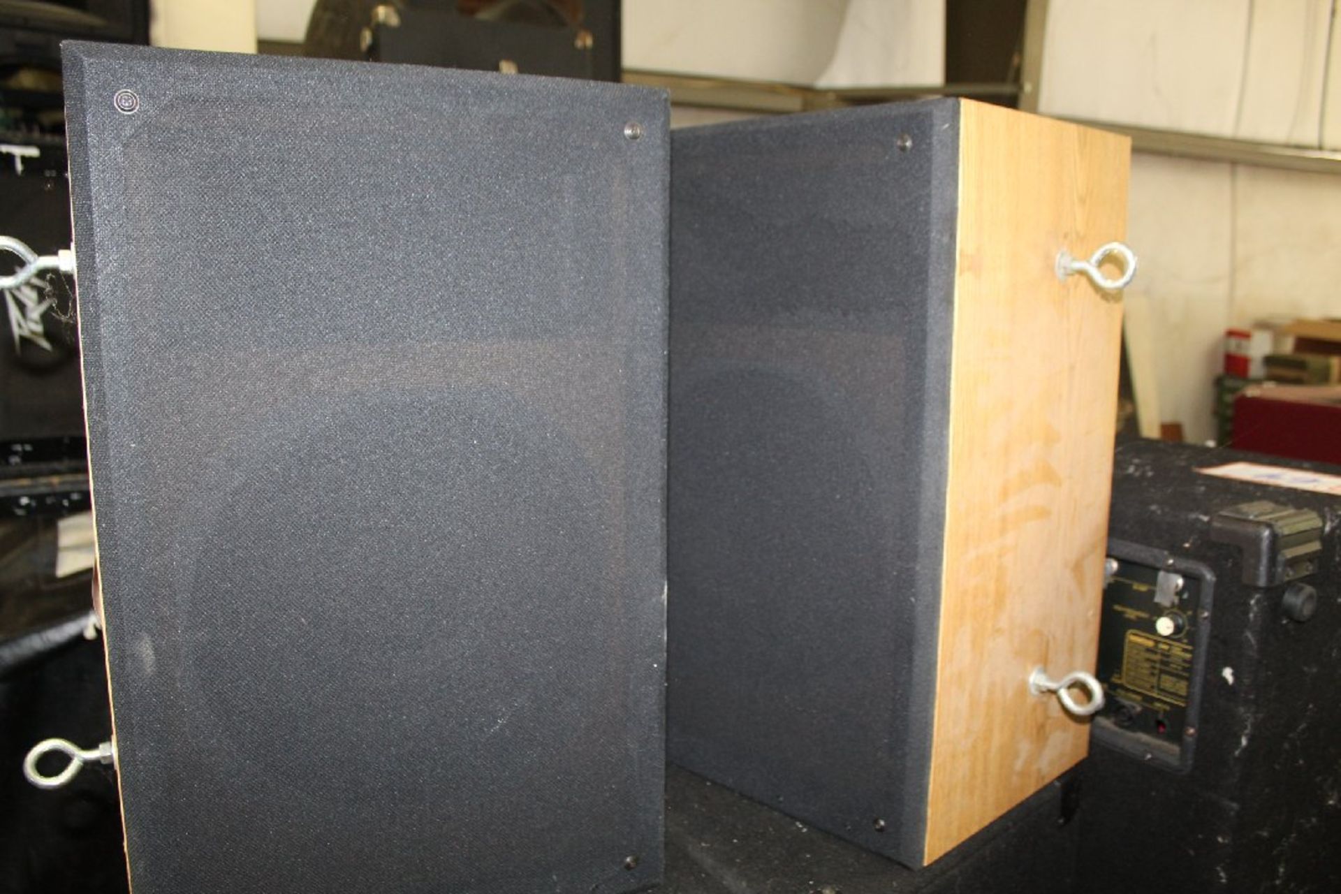 Pair Peavy Criterion installation speakers