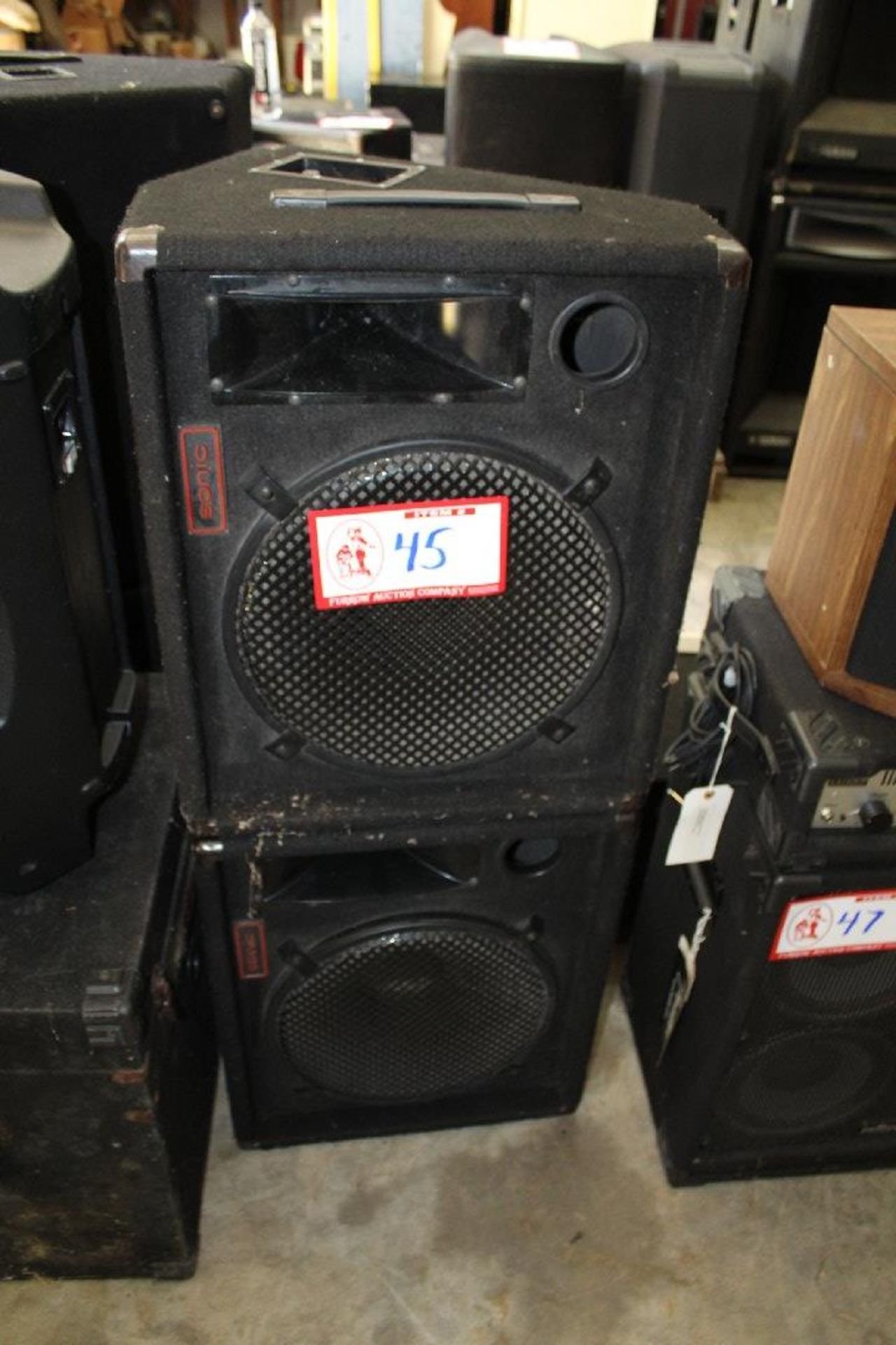 Pair Sonic D15 Monitor speakers