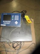 Mettler Toledo Model IND 780 S/S Floor Scale with Remote Display: 18" Width x 18" S/S Platform -