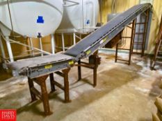252" x 18" Inclined Belt Conveyor with Drive