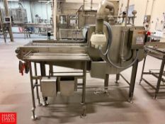 Chad S/S Antimicrobial Spray Conveyor with 92" x 24" S/S Conveyor and Drive