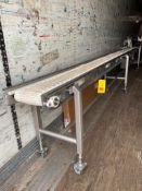 S/S Framed Product Conveyor with Drive and Controls, Dimensions = 232" x 10" (Location: Fall Creek,